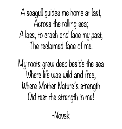Gull House Reclaimed, poem by Kim Novak ©2020