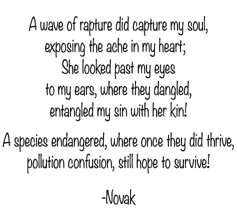 If Only, original poem by Kim Novak ©2020